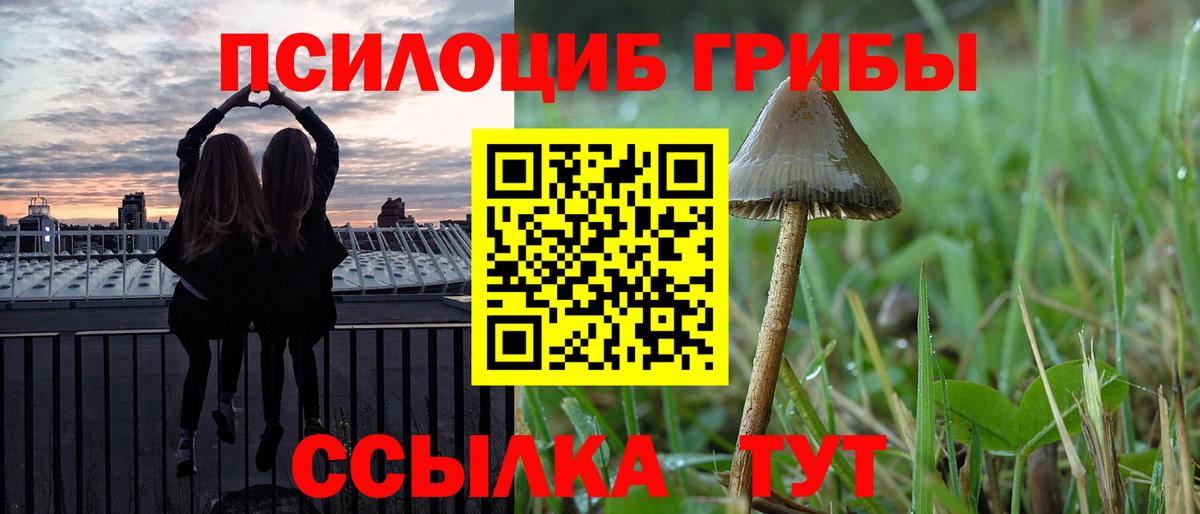 Псилоцибиновые грибы мицелий Туапсе